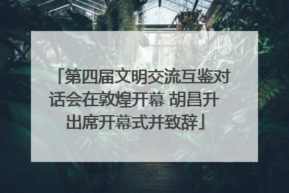 第四届文明交流互鉴对话会在敦煌开幕 胡昌升出席开幕式并致辞