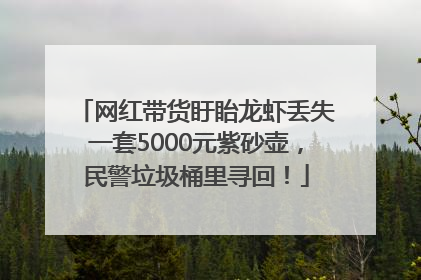 网红带货盱眙龙虾丢失一套5000元紫砂壶，民警垃圾桶里寻回！