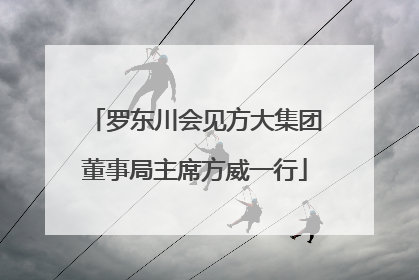 罗东川会见方大集团董事局主席方威一行
