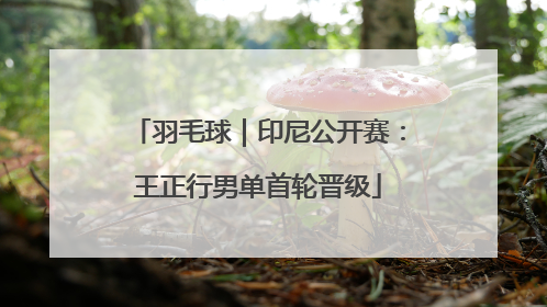 羽毛球｜印尼公开赛：王正行男单首轮晋级