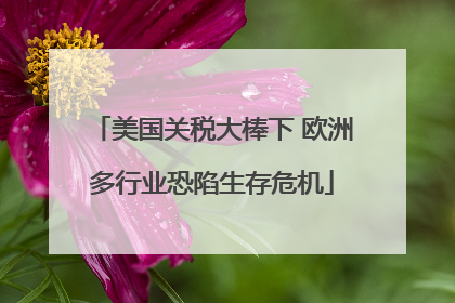 美国关税大棒下 欧洲多行业恐陷生存危机