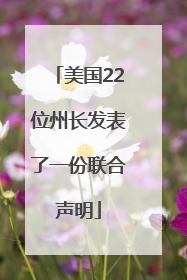 美国22位州长发表了一份联合声明