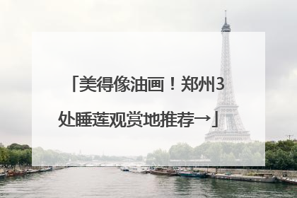 美得像油画！郑州3处睡莲观赏地推荐→