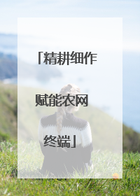 精耕细作 赋能农网终端