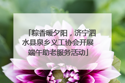 粽香暖夕阳，济宁泗水县泉乡义工协会开展端午助老服务活动