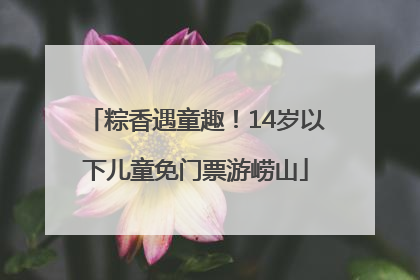 粽香遇童趣！14岁以下儿童免门票游崂山