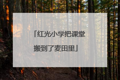 红光小学把课堂搬到了麦田里