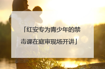 红安专为青少年的禁毒课在庭审现场开讲