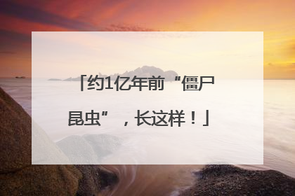 约1亿年前“僵尸昆虫”，长这样！