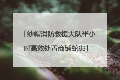 纱帽消防救援大队半小时高效处置商铺蛇患