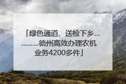 绿色通道、送检下乡…………德州高效办理农机业务4200多件