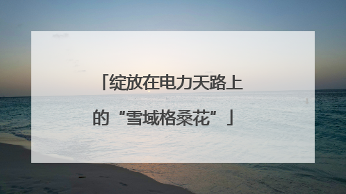绽放在电力天路上的“雪域格桑花”