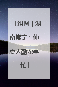 组图｜湖南常宁：仲夏人勤农事忙