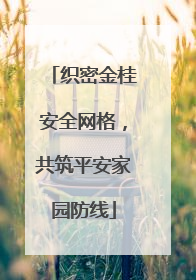 织密金桂安全网格，共筑平安家园防线
