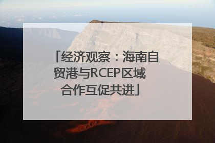 经济观察：海南自贸港与RCEP区域合作互促共进