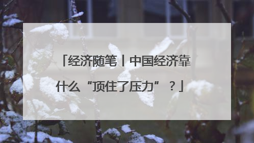 经济随笔丨中国经济靠什么“顶住了压力”？