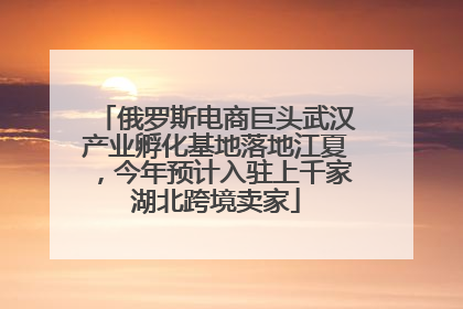 俄罗斯电商巨头武汉产业孵化基地落地江夏，今年预计入驻上千家湖北跨境卖家
