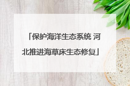 保护海洋生态系统 河北推进海草床生态修复