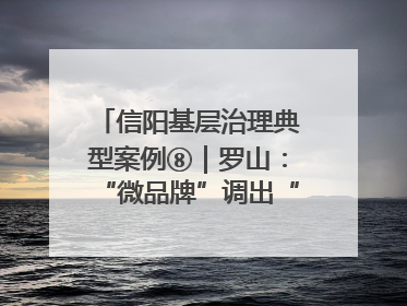 信阳基层治理典型案例⑧｜罗山：“微品牌”调出“大和谐”