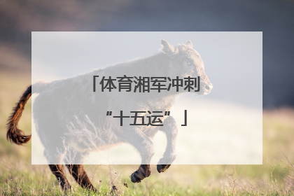 体育湘军冲刺“十五运”