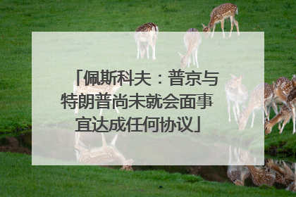 佩斯科夫：普京与特朗普尚未就会面事宜达成任何协议