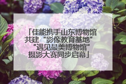 佳能携手山东博物馆共建“影像教育基地” “遇见最美博物馆”摄影大赛同步启幕