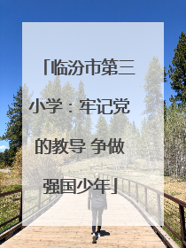 临汾市第三小学：牢记党的教导 争做强国少年