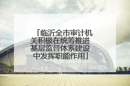 临沂全市审计机关积极在统筹推进基层监督体系建设中发挥职能作用