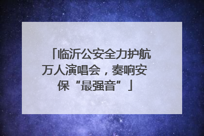 临沂公安全力护航万人演唱会，奏响安保“最强音”