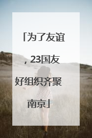 为了友谊，23国友好组织齐聚南京