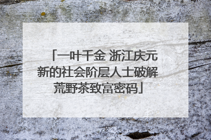 一叶千金 浙江庆元新的社会阶层人士破解荒野茶致富密码