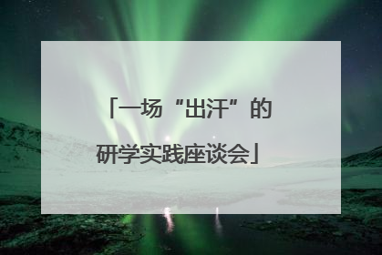 一场“出汗”的研学实践座谈会
