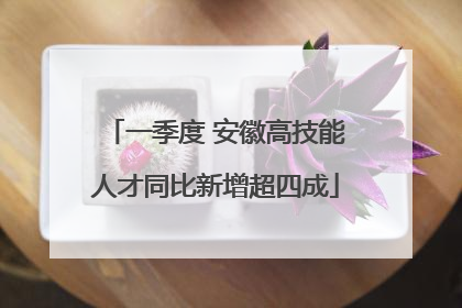 一季度 安徽高技能人才同比新增超四成