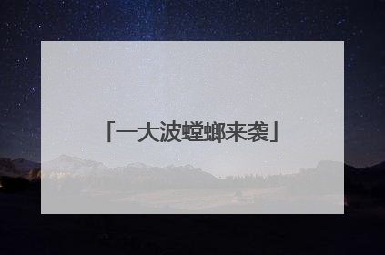 一大波螳螂来袭