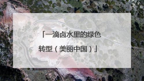 一滴卤水里的绿色转型（美丽中国）