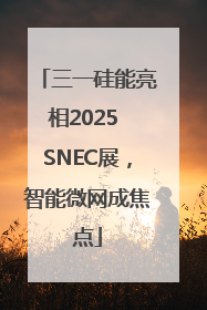 三一硅能亮相2025 SNEC展，智能微网成焦点
