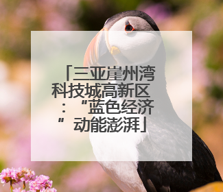 三亚崖州湾科技城高新区：“蓝色经济”动能澎湃