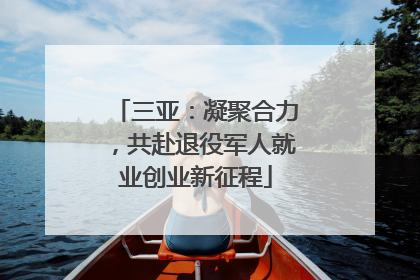 三亚：凝聚合力，共赴退役军人就业创业新征程