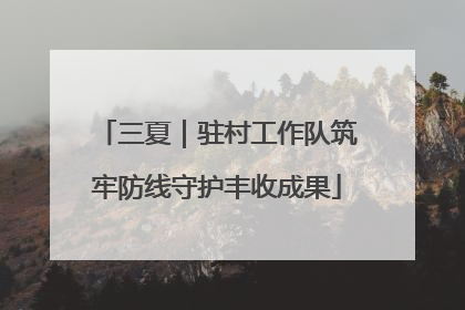 三夏｜驻村工作队筑牢防线守护丰收成果