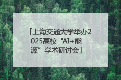 上海交通大学举办2025高校“AI+能源”学术研讨会