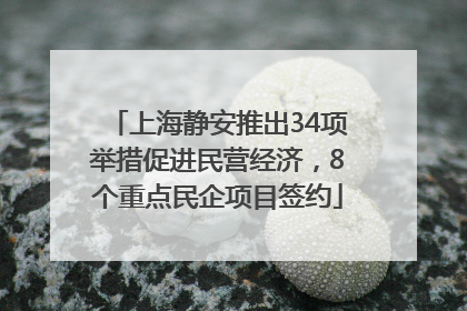 上海静安推出34项举措促进民营经济，8个重点民企项目签约
