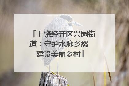 上饶经开区兴园街道：守护水脉乡愁 建设美丽乡村