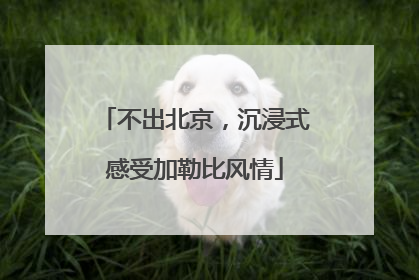 不出北京，沉浸式感受加勒比风情