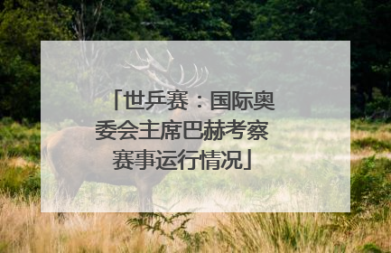 世乒赛：国际奥委会主席巴赫考察赛事运行情况