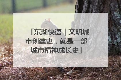 东湖快语｜文明城市创建史，就是一部城市精神成长史