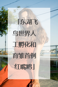 东湖飞鸟世界人工孵化和育雏首例红嘴鸥