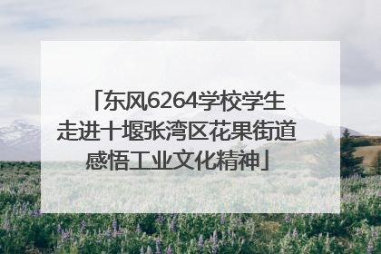 东风6264学校学生走进十堰张湾区花果街道感悟工业文化精神