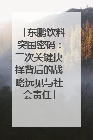 东鹏饮料突围密码：三次关键抉择背后的战略远见与社会责任
