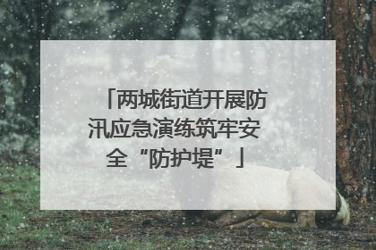 两城街道开展防汛应急演练筑牢安全“防护堤”