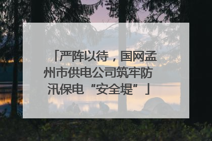 严阵以待，国网孟州市供电公司筑牢防汛保电“安全堤”